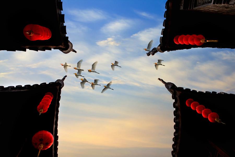 古建物语 中国古建等级如何知 你只需知道这十点 知乎 古建物语 中国古建等级如何知 你只需知道这十点 知乎