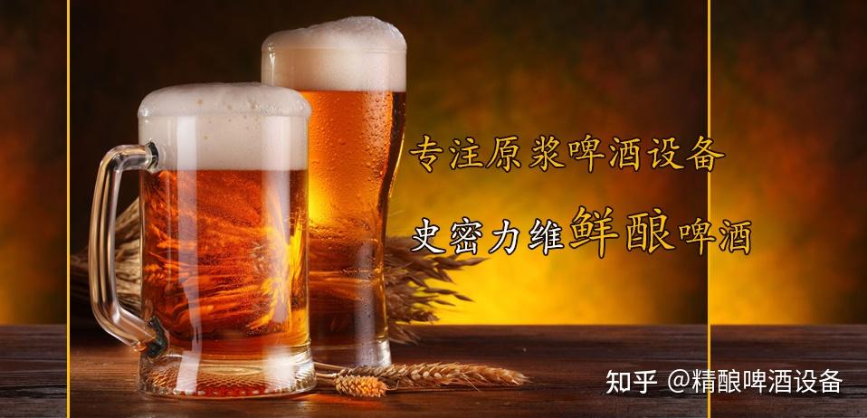 500升精釀啤酒設備大概多少錢 - 知乎