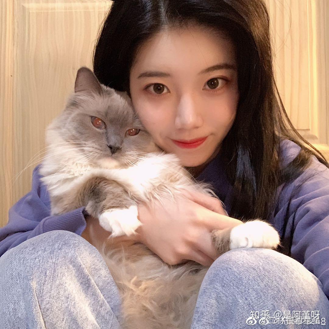 你因为什么而饭上snh48沈梦瑶