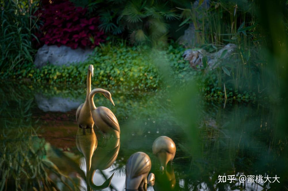 大优惠!黄石东楚御景--清风满湖,与鲜氧生活不谋而合 - 知乎