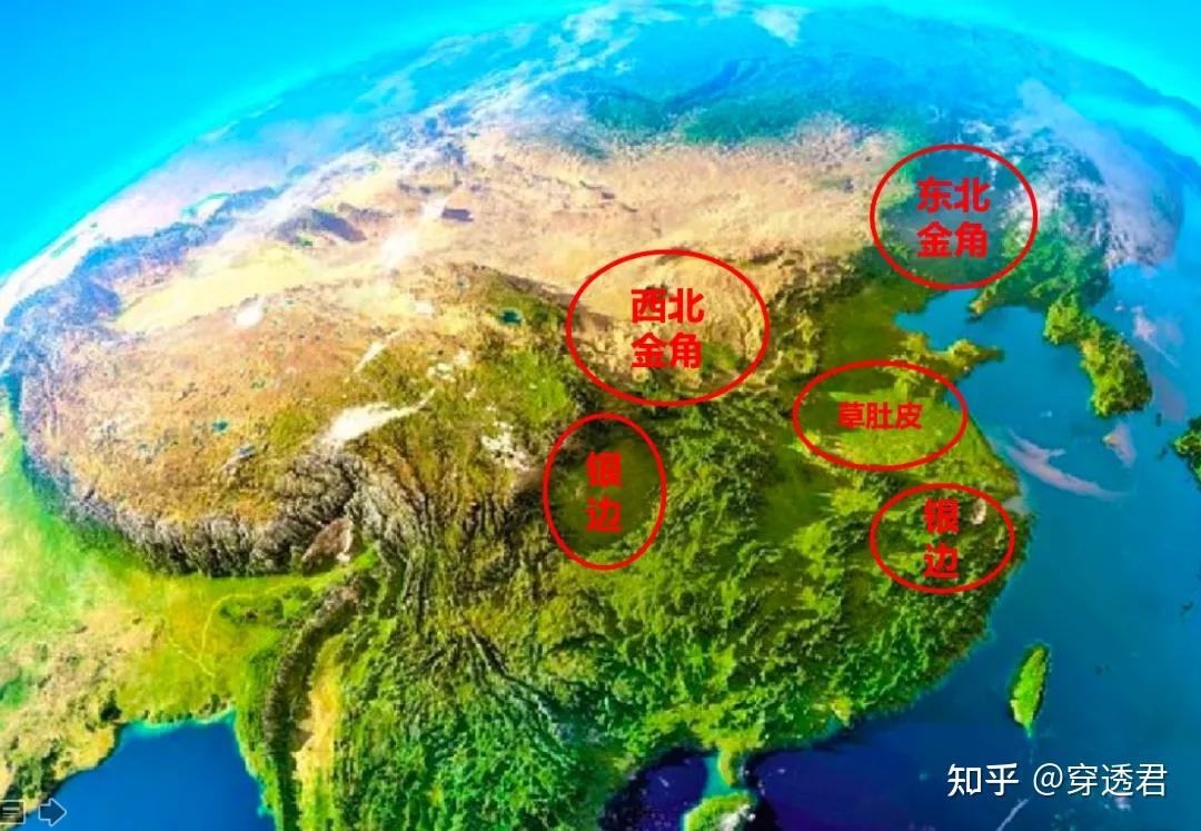 rcep和金角银边草肚皮