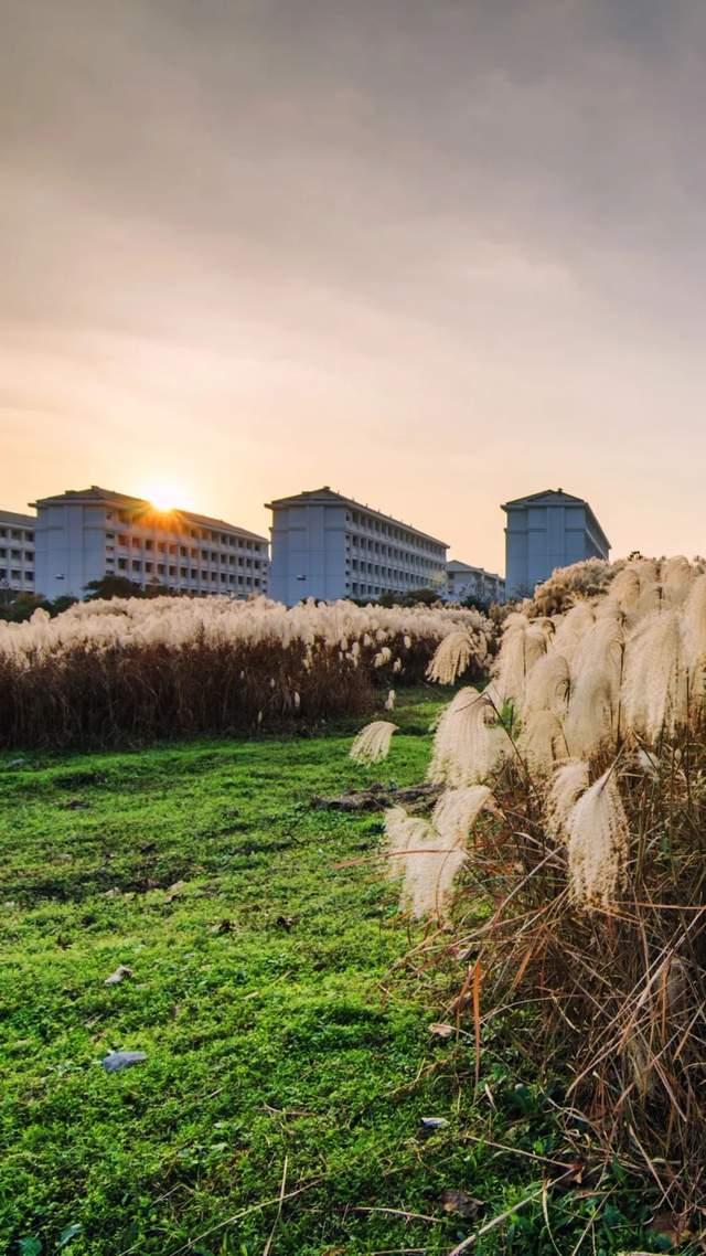 中国最委屈的985是这所福建大三本