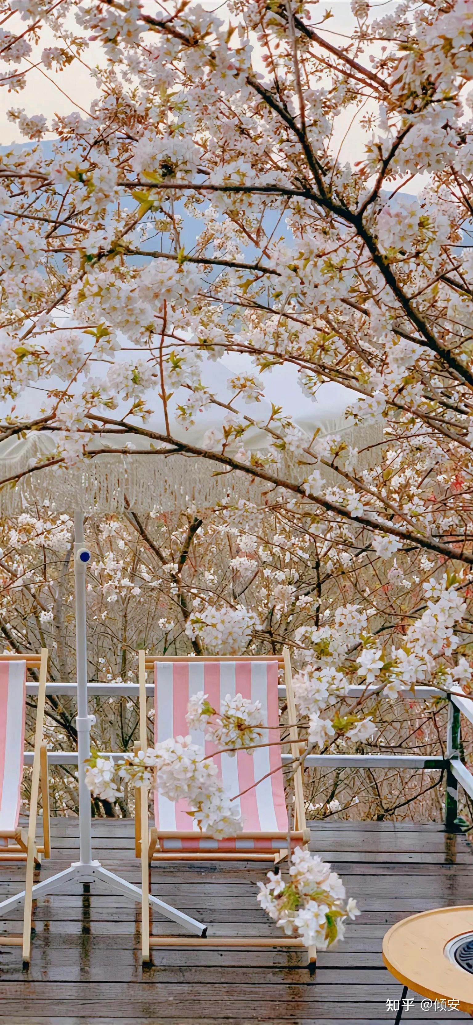 最近你有没有拍一些好看的风景照片呢?