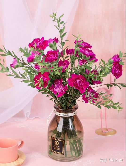 型决定了它百搭的气质,花小好旗下高级花艺师推荐以下康乃馨插瓶搭配