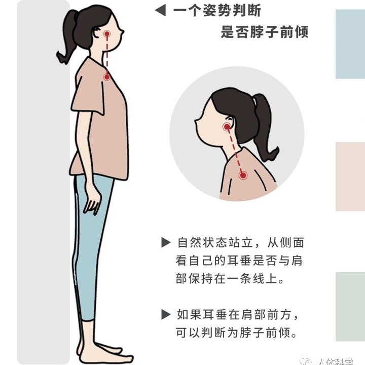 【矫正探颈】脖子前倾矫正操:远离富贵包,双下巴,偏头痛