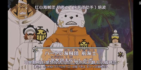 海贼王罗培波罗和柯拉松柯拉松 知乎 海贼王罗培波罗和柯拉松柯拉松 知乎