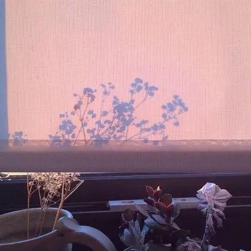 甜蜜抖音文案(朋友圈，抖音温柔系，幸福甜甜文案)