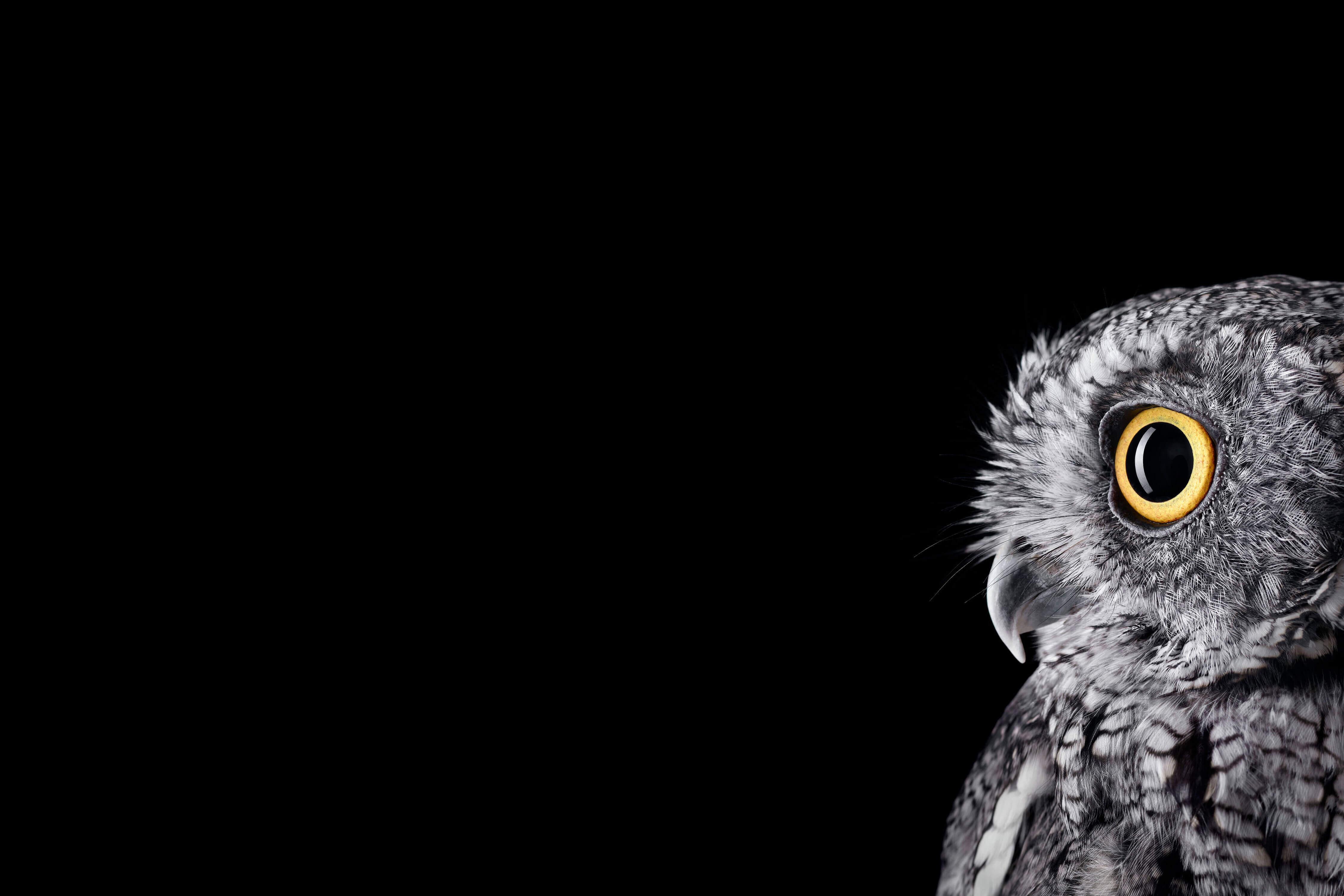 有哪些好看的 ipad 壁纸? - 知乎