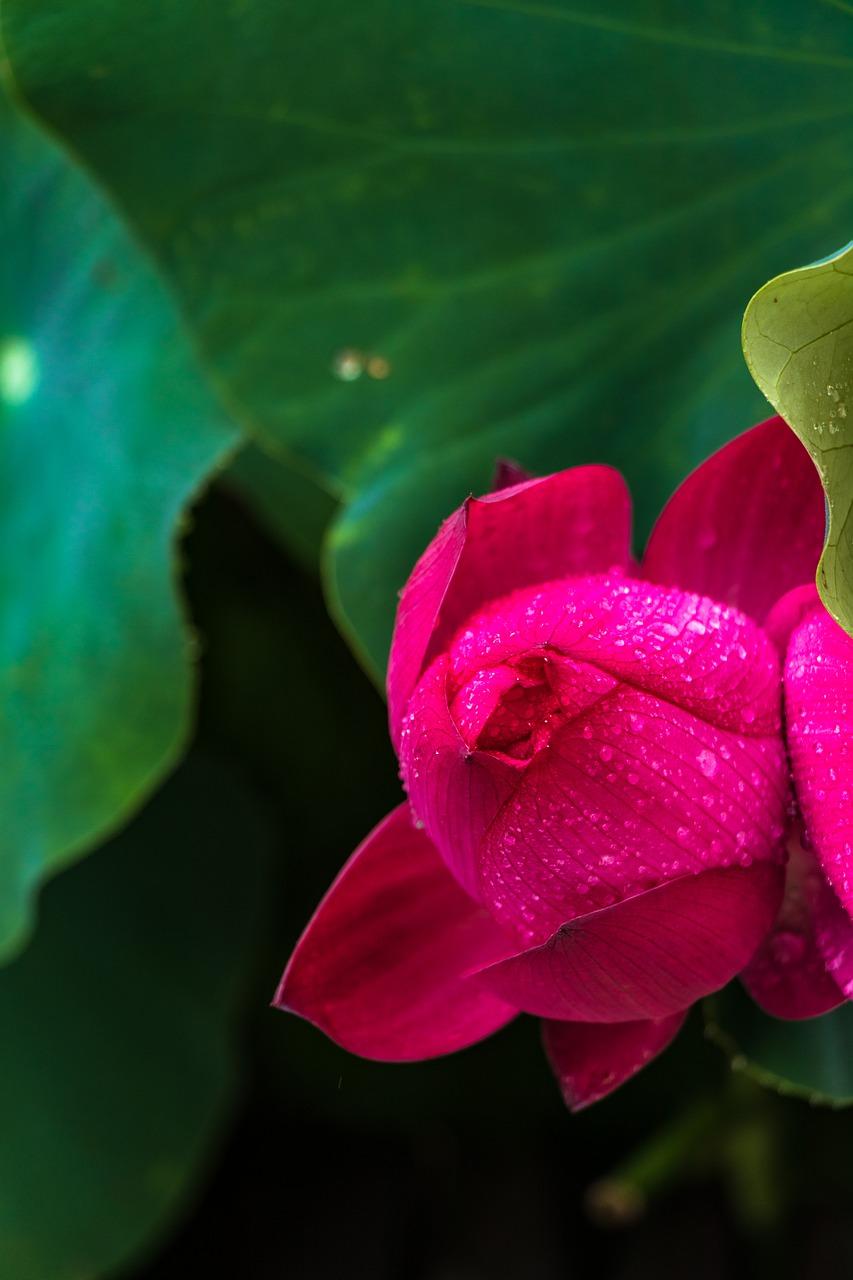 2. 柜体固定技巧