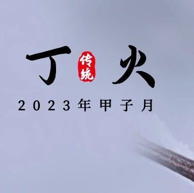 甲子月十天干月运; 丁火 - 知乎