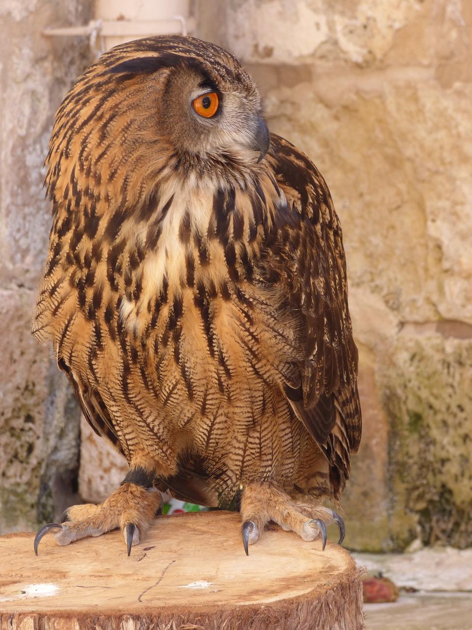 欧亚盛世城交房日期