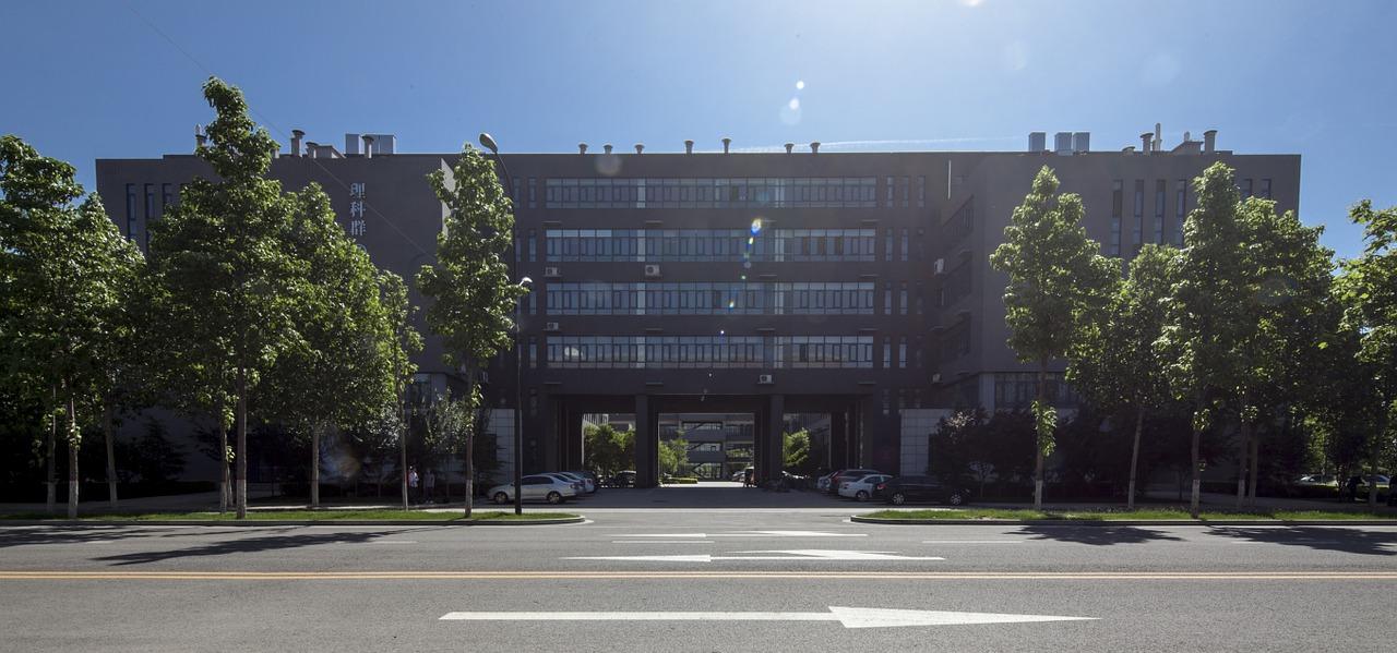 华师幼儿园在哪里