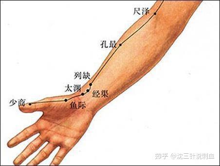 尺泽穴的准确位置图|及作用功效 - 知乎