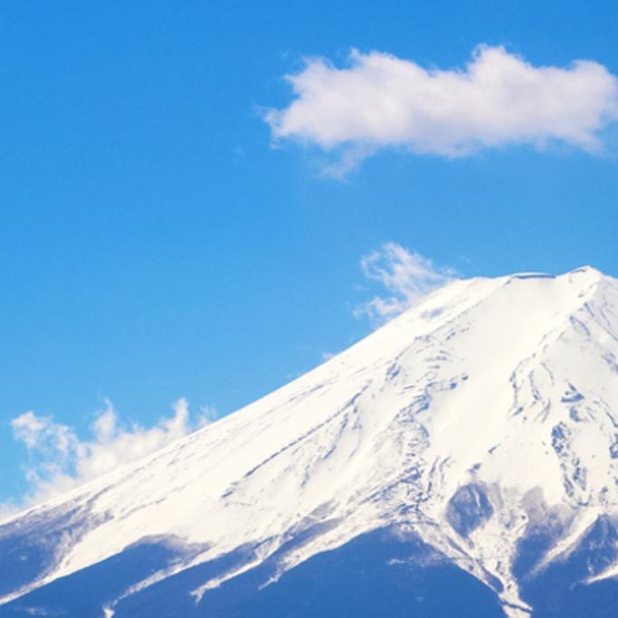 风白流雪