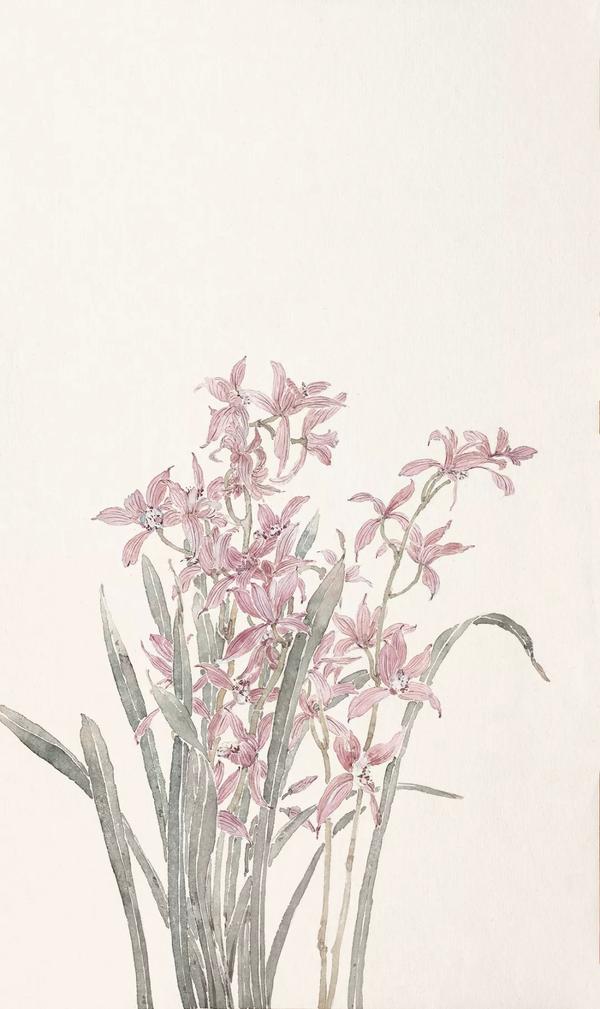 高强:设色没骨花卉系列教程之兰花 - 知乎