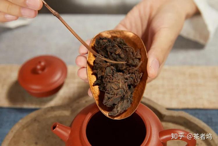 全面解析什麼是普洱茶老茶頭它是怎麼形成的老茶頭怎麼泡好喝