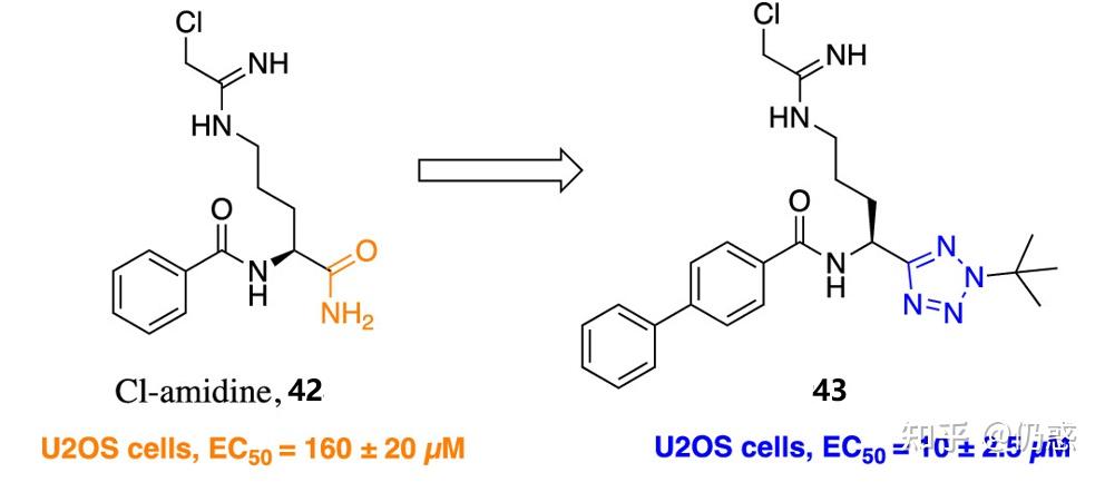 二,五元雜環作為酰胺的生物電子等排體