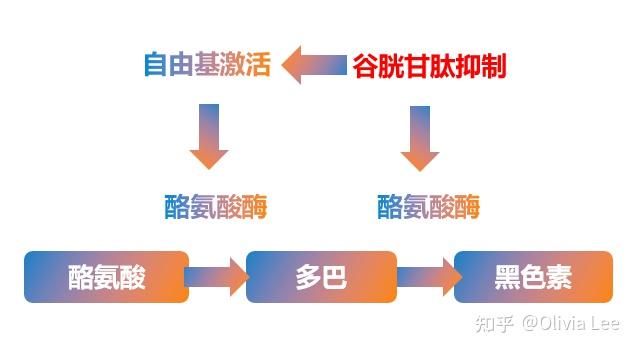 n乙酰半胱氨酸nac到底是治疗什么的