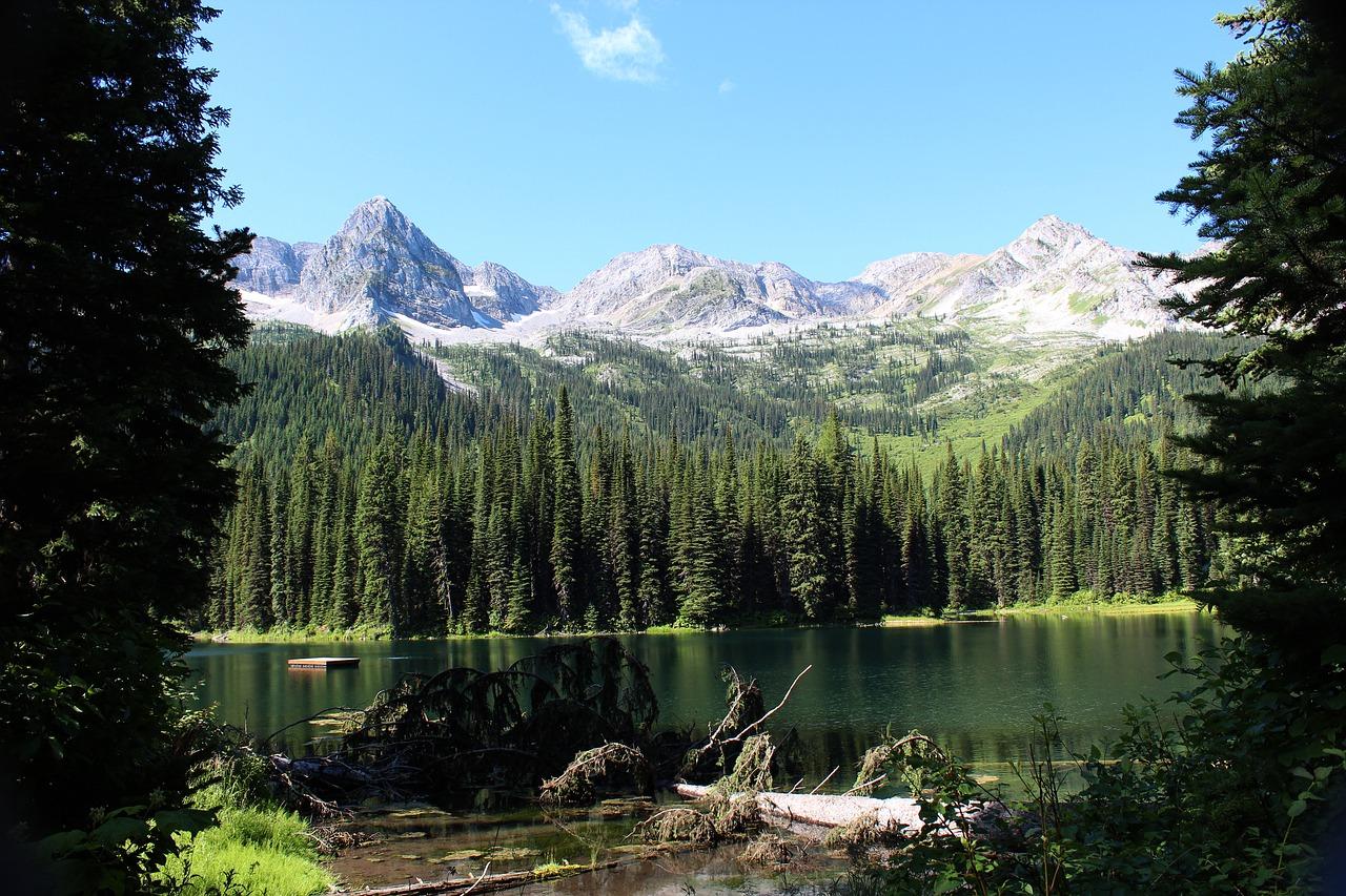 淡水迎宾大道再哪里
