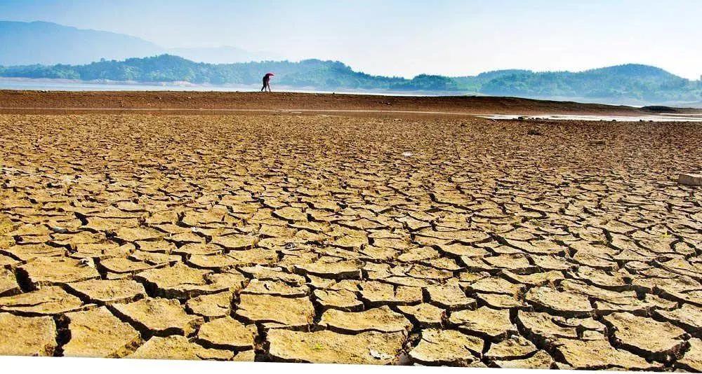 把树木还给森林全铝家居可以让世界拥有更多的绿色