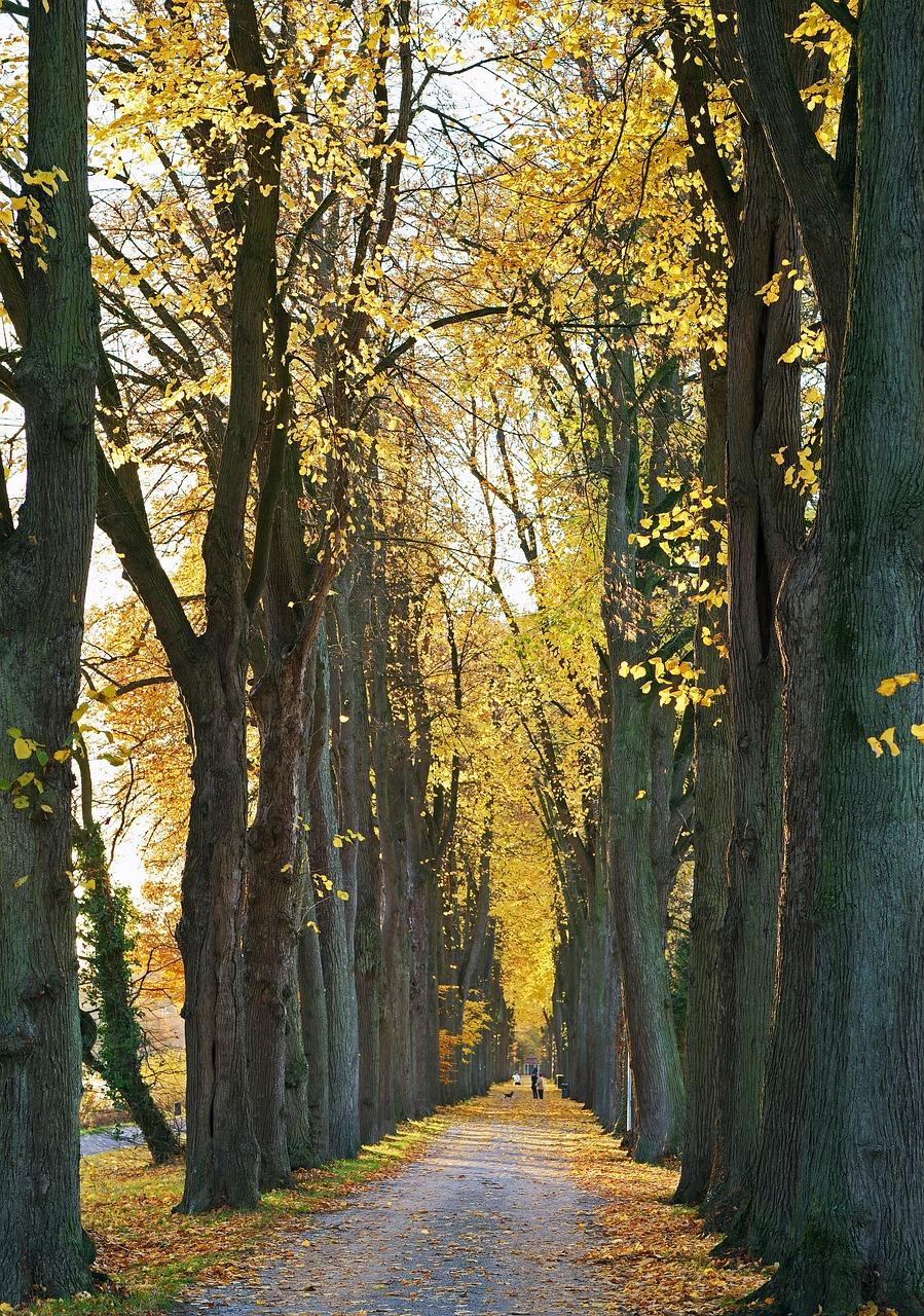 4. 房价走势分析