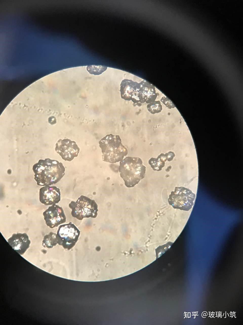 显微镜下玻璃原材料