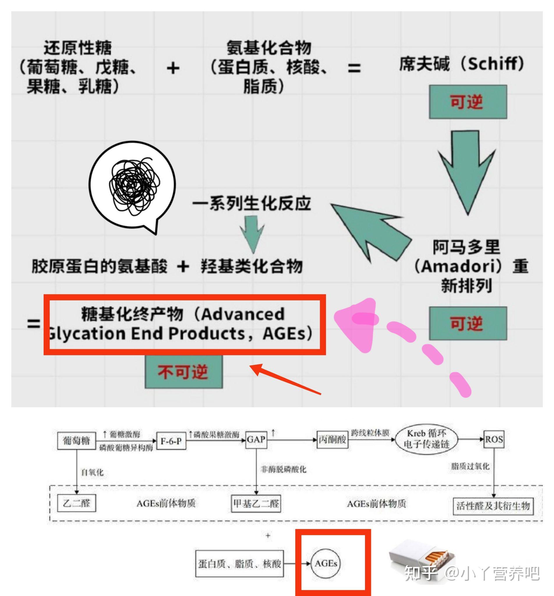 那糖化反应到底是怎样的呢?