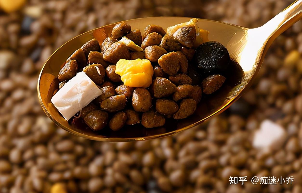 狗粮究竟要不要泡?这篇文章值得你花时间 - 知乎