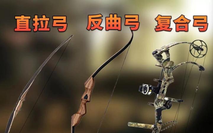 【户外装备】直拉弓、反曲弓、复合弓,哪种弓更适合野外求生? - 知乎