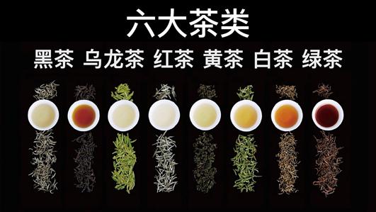 青茶有哪些品种及图片图片