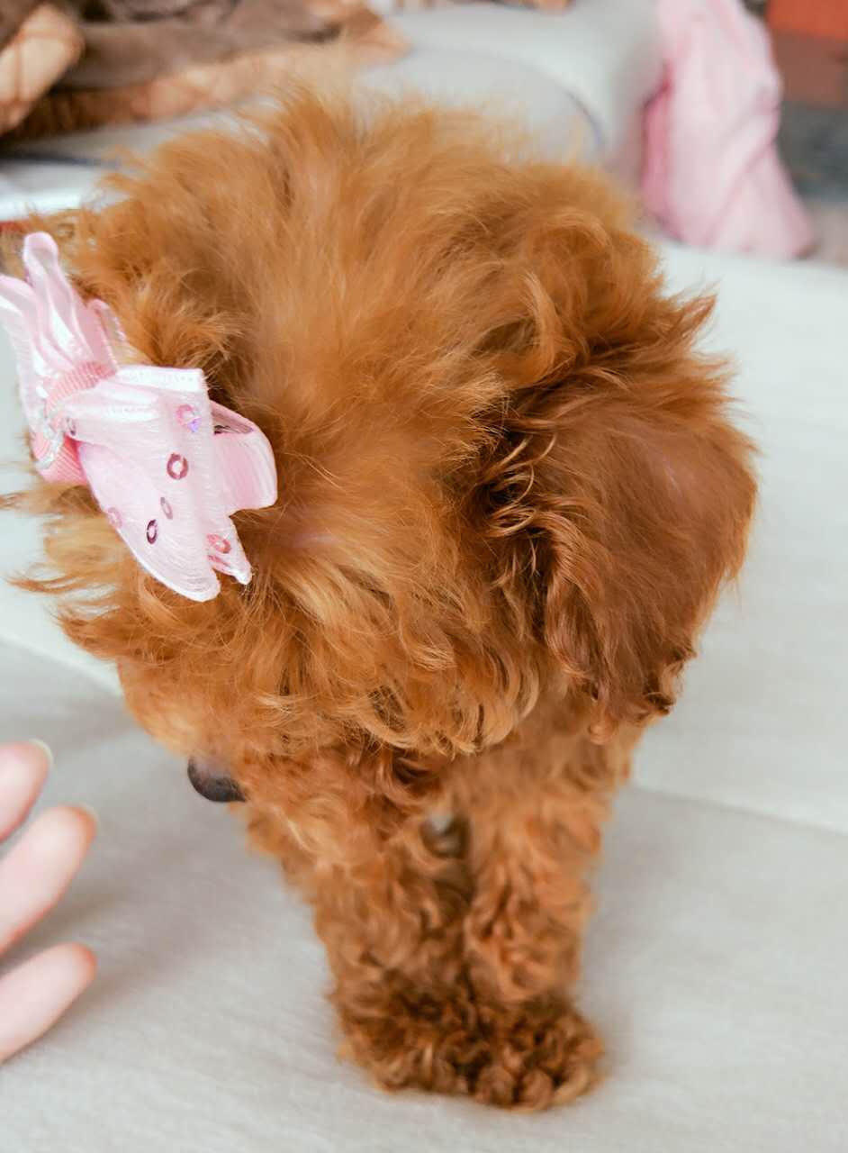 v2-28f3e963e3b16be4cb6b0dd4fe2e8af5_1440w.jpg?source=172ae18b