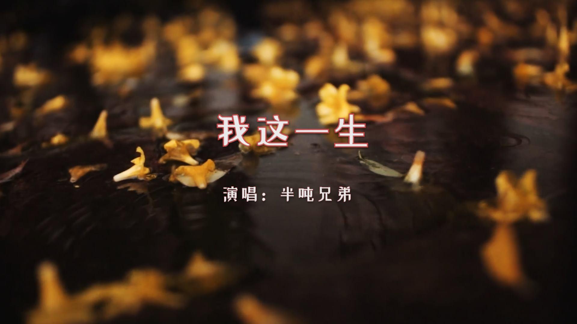 音乐半吨兄弟我这一生