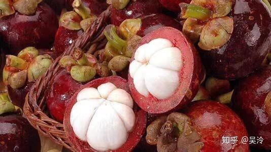 香蕉什么时候摘下来最好 v2-28fa02be42a18908fa40c7b69d8acef8_r.jpg