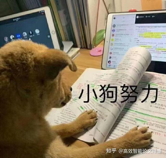 关于写论文,有哪些表情包? - 知乎