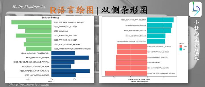 R语言绘图教程 双侧条形图绘制教程 知乎