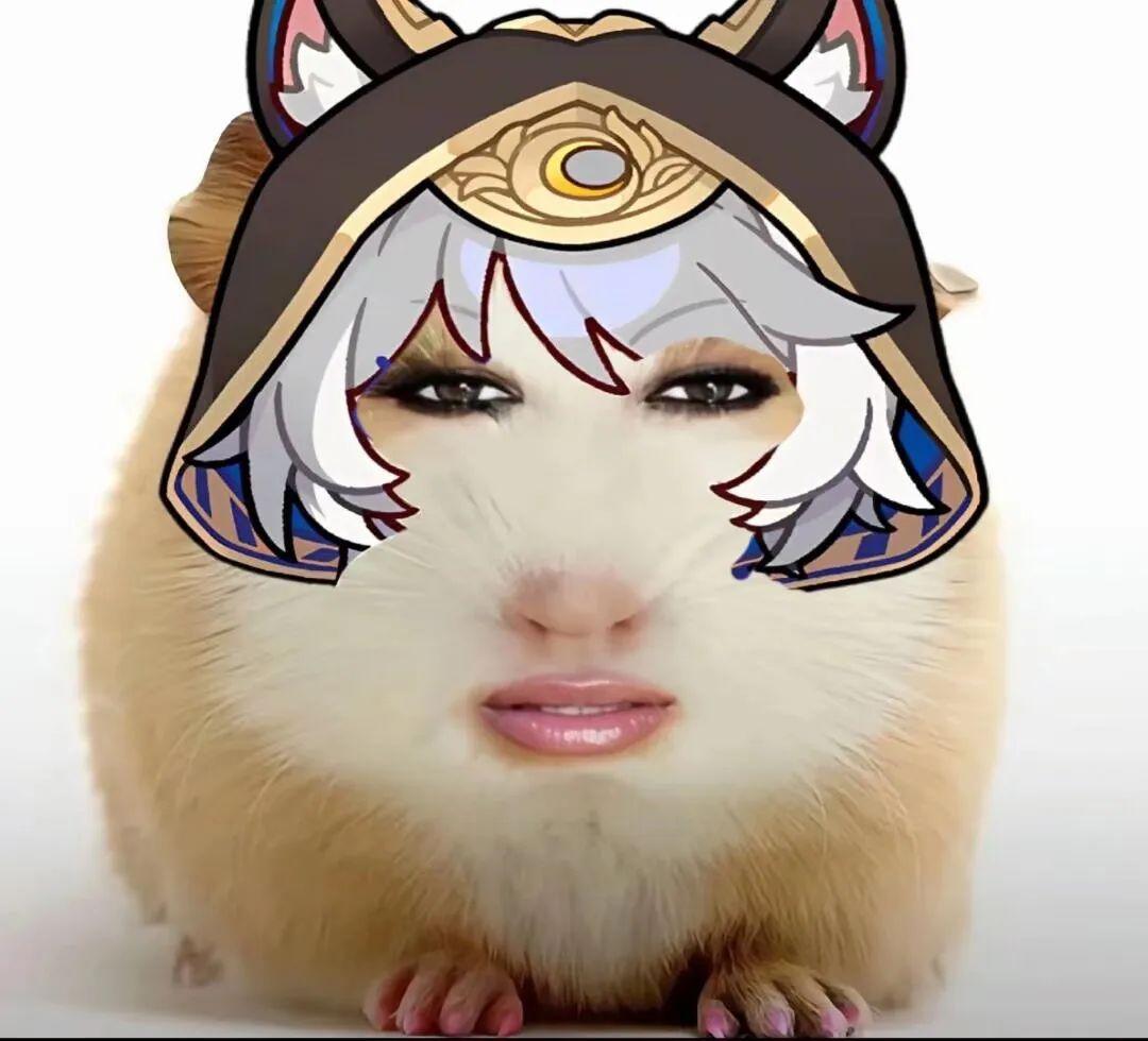 猪妞表情包:仙女下凡(直接存) - 知乎