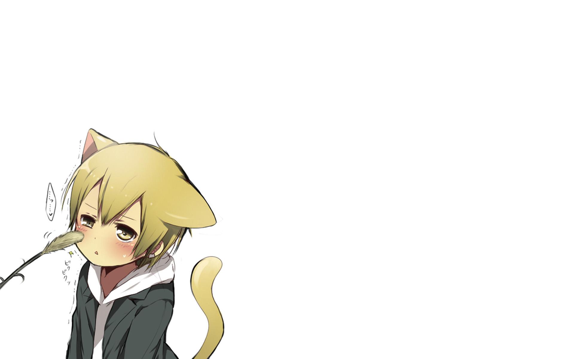 有什么好看的留白壁纸吗?