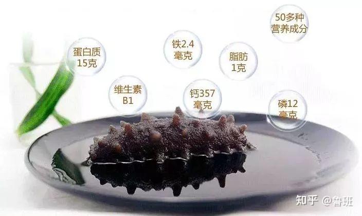 海參的營養價值不如雞蛋