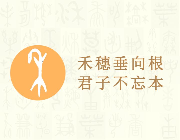 禾——汉字的字元·草木植物 - 知乎