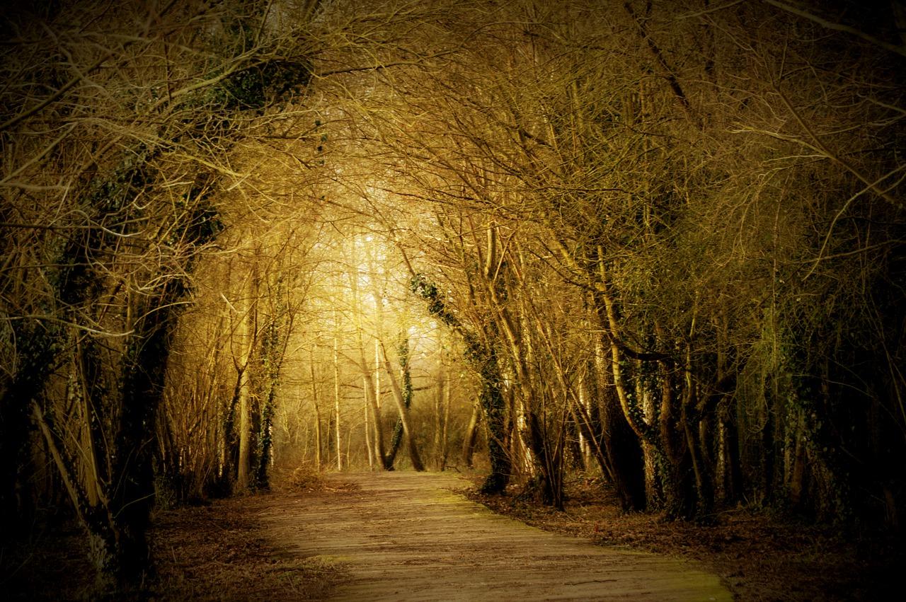 2. 不可再生资源