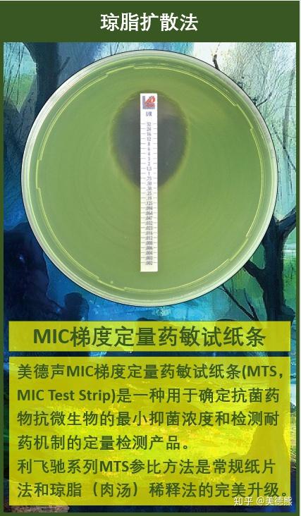 和四類產品【mic梯度定量藥敏試紙條,藥敏紙片,瓊脂稀釋板,抗菌繹物