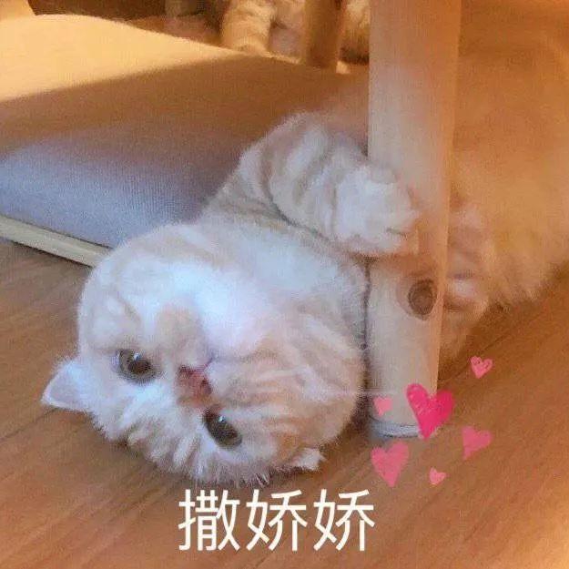 女生撒娇专用表情包,速速收藏! - 知乎