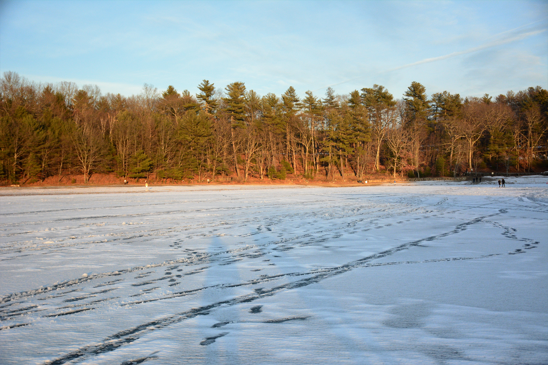 冬天的瓦尔登湖 - 知乎