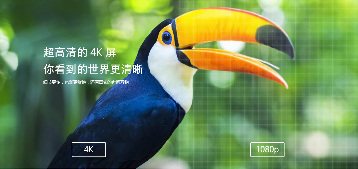 灯笼鱼科普介绍 v2-293d06866dd049282ab91c289e033e18_r.jpg