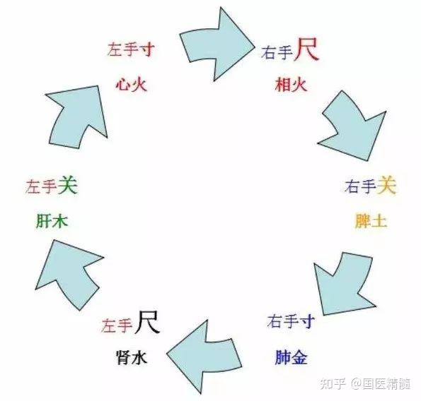 中医如何教你“把脉” - 知乎