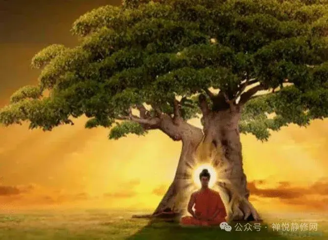 为什么要学佛修行?这可能是你人生最值得的“投资” - 知乎