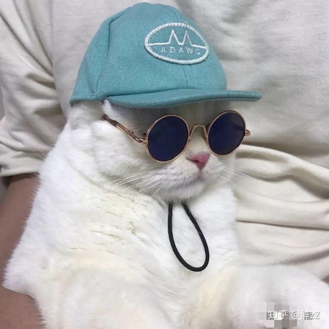 求带眼镜的猫咪头像?像这张图一样?