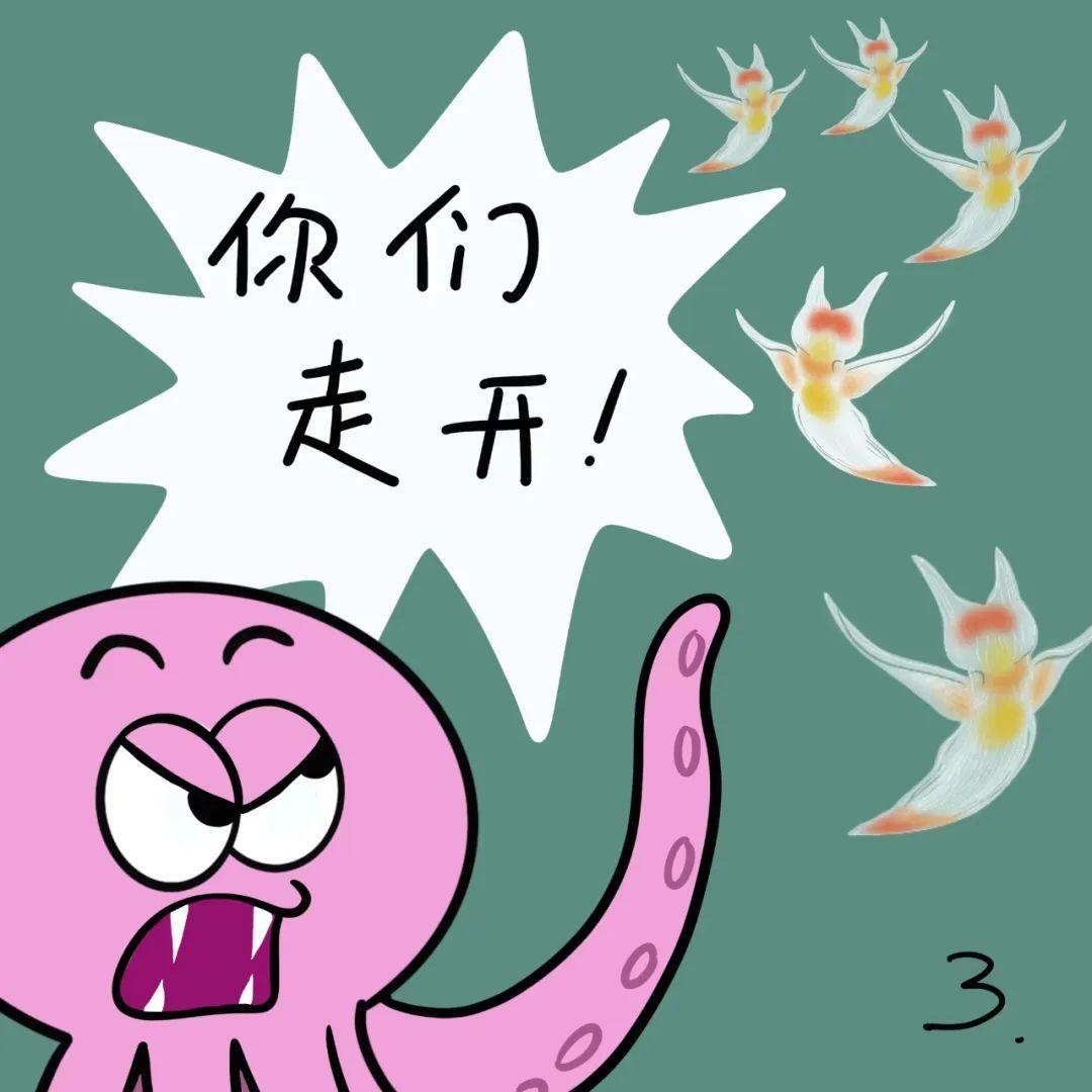 科普漫画 | “海天使”还是“小恶魔”?(作者:刘萍) - 知乎