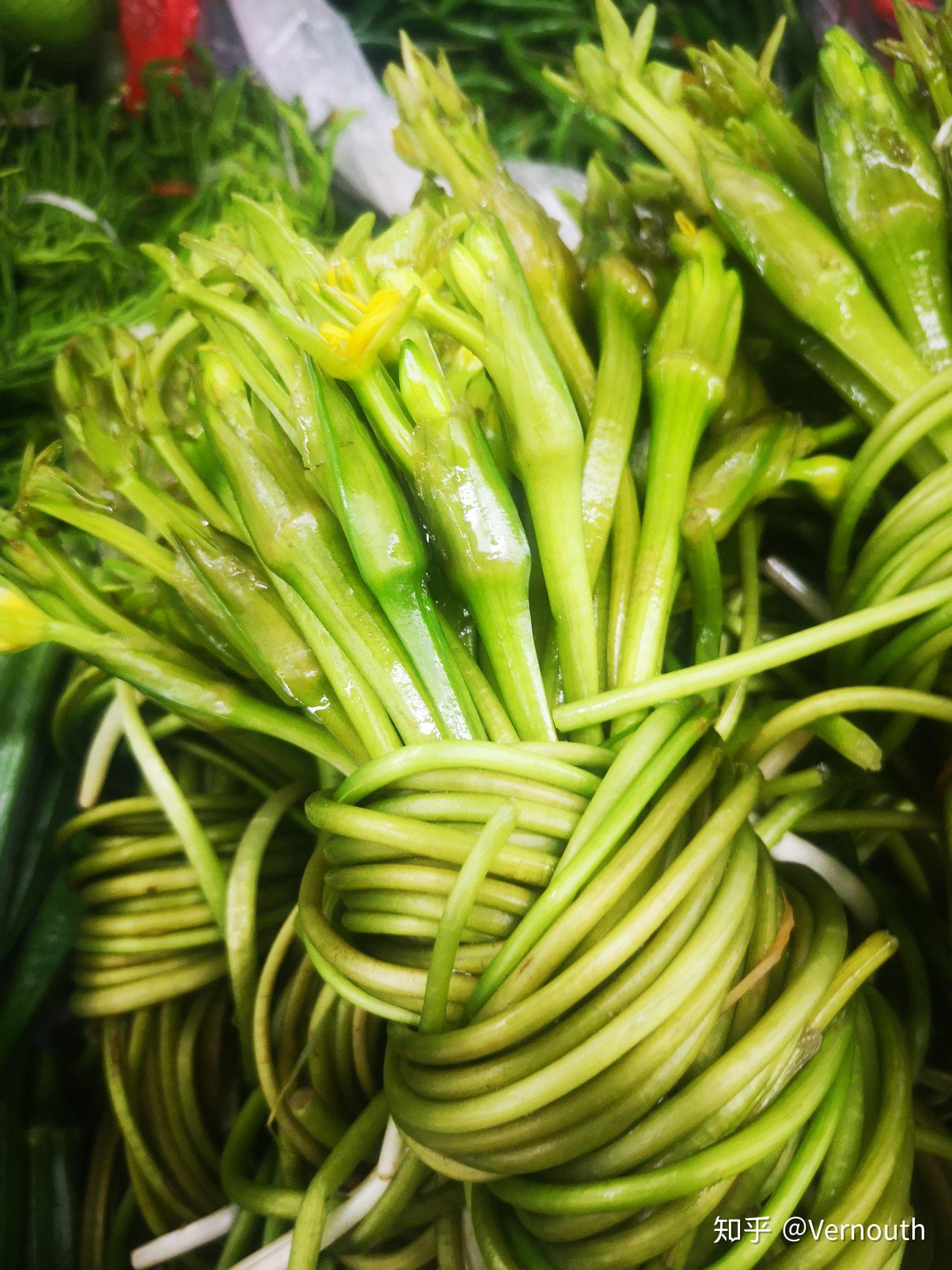 澎湖野生海菜 - 温好鮮-水產
