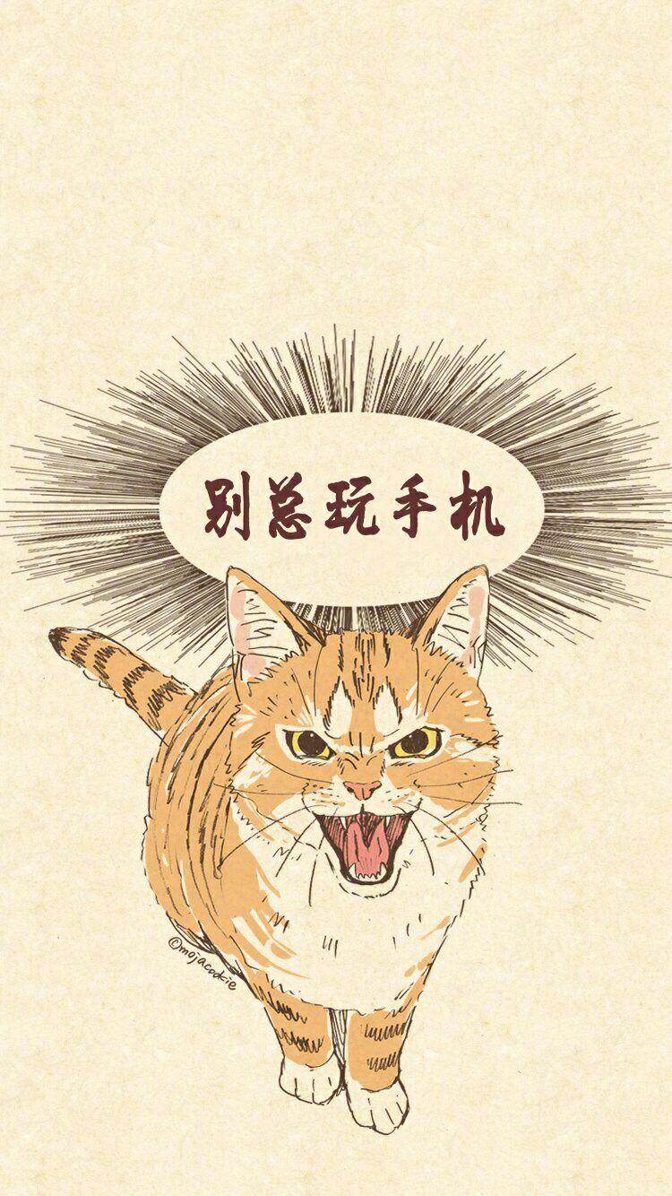 有什么奇葩的图片当锁屏壁纸? - 知乎
